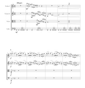 标价非售价 驯龙高手 迭戈官方原版 弦乐四重奏 总谱+分谱 有试听-云音圈