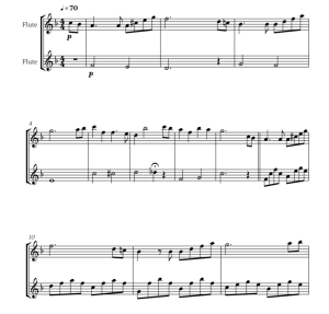 爱的礼赞 长笛二重奏 华彩版官方原版 总谱+分谱  有试听  自动发货-云音圈