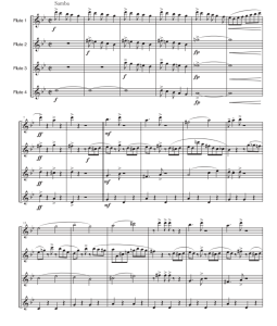 雀鸟  小鸟蒂科 Tico Tico  长笛四重奏 迭戈官方原版 总谱+分谱  有试听  自动发货-云音圈