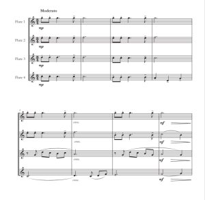 月亮河 长笛四重奏 迭戈官方原版 总谱+分谱  有试听  自动发货-云音圈