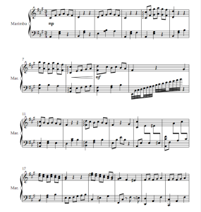 爱乐之城主题曲 Mia & Sebastian's Theme 马林巴独奏 奥斯汀官方原版  有试听  自动发货-云音圈