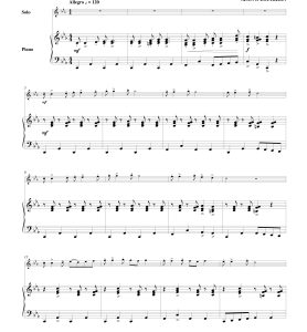 失落的水手  长笛钢琴  带伴奏音频  有试听  自动发货-云音圈