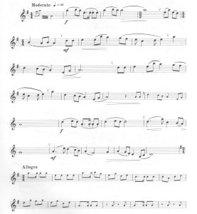 山丹丹花开红艳艳  单簧管独奏  有试听  自动发货-云音圈