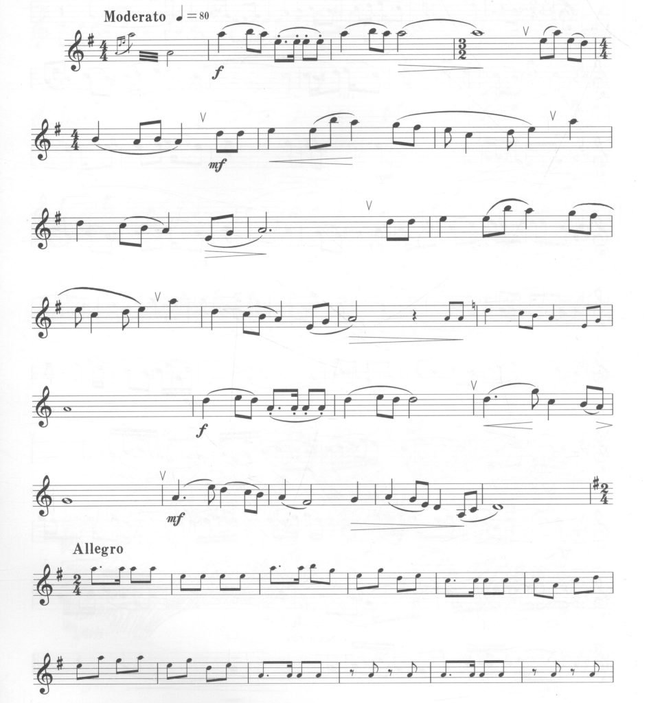 山丹丹花开红艳艳  单簧管独奏  有试听  自动发货