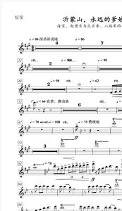 沂蒙山,永远的爹娘 歌剧《沂蒙山》选曲 声乐与管弦乐总谱+分谱-云音圈