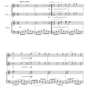 沃尔塔瓦河 长笛二重奏+钢琴 迭戈官方原版 总谱+分谱  有试听  自动发货-云音圈