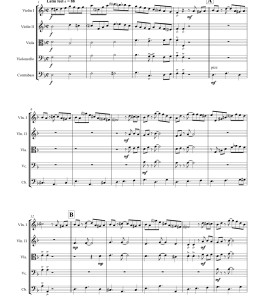 雀鸟 Tico-Tico 肖罗风格弦乐五重奏 托马斯官方原版 总谱+分谱  有试听  自动发货-云音圈