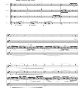 沃尔塔瓦河 长笛四重奏 迭戈官方原版 总谱+分谱  有试听  自动发货-云音圈