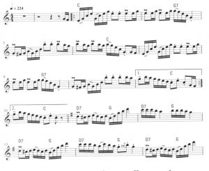 单簧管波尔卡 Klarinettenmuckl 单簧管独奏 带伴奏音频 有试听 自动发货-云音圈