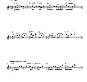 在山魔王的宫殿里 长笛独奏 法莱罗斯官方原版 有试听 自动发货-云音圈