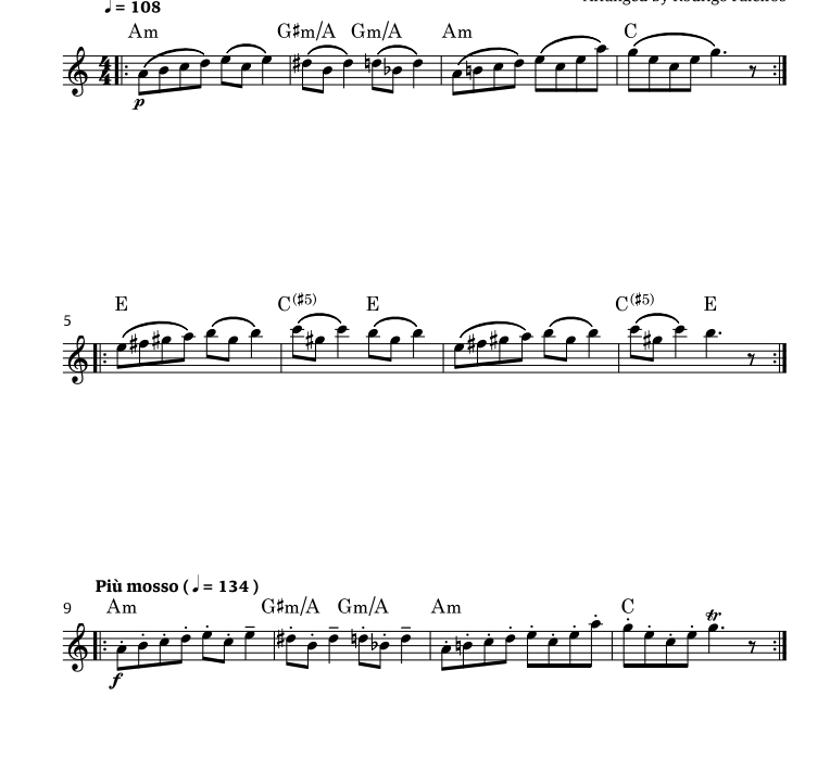 在山魔王的宫殿里 长笛独奏 法莱罗斯官方原版 有试听 自动发货