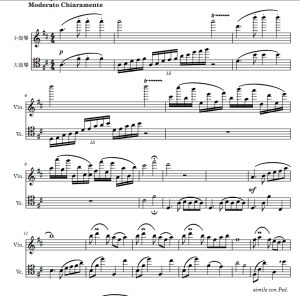 彩云追月 小提琴大提琴二重奏 D 总谱+分谱 有试听 自动发货-云音圈