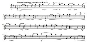 沃尔塔瓦河 长笛独奏 有试听 自动发货-云音圈