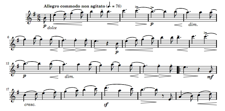 沃尔塔瓦河 长笛独奏 有试听 自动发货