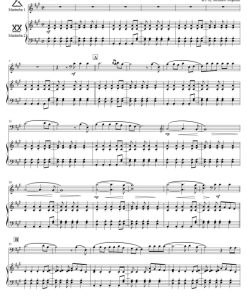 生命万岁 Viva La Vida 马林巴二重奏 野口道子官方原版 总谱+分谱 有试听 自动发货-云音圈