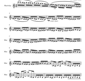 野蜂飞舞 马林巴独奏 奥斯汀凯克官方原版 有试听 自动发货-云音圈