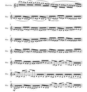 野蜂飞舞 马林巴独奏 奥斯汀凯克官方原版  有试听  自动发货-云音圈