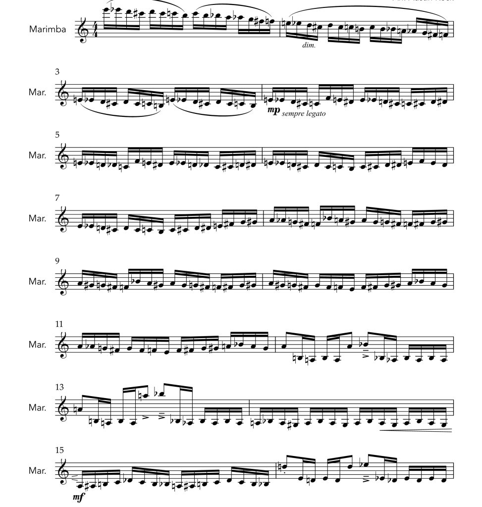 野蜂飞舞 马林巴独奏 奥斯汀凯克官方原版  有试听  自动发货