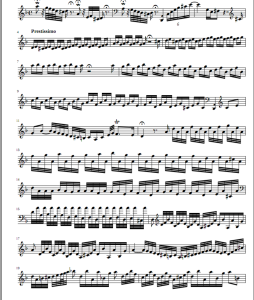 d小调托卡塔赋格曲 Toccata and Fugue in D Minor 圆号独奏谱  有试听  自动发货-云音圈
